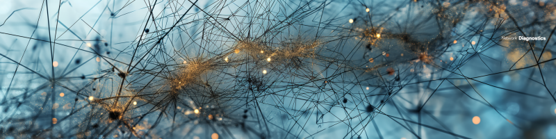 File:Network Diagnostics Header.png